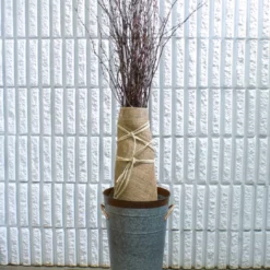 Natural Birch Tree Branches 3-4ft (25 Branches) -US Gift Sales 2024 01297920859 1937 2