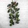 Natural Touch Magnolia Leaf Garland 6ft 44 Leaves