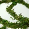 Natural Moss Vine Preserved 12ft