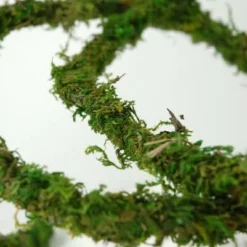 Natural Moss Vine Preserved 12ft