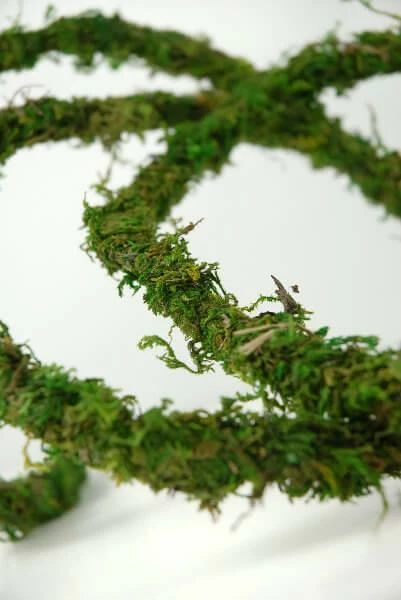 Natural Moss Vine Preserved 12ft 1 Natural Moss Vine Preserved 12ft