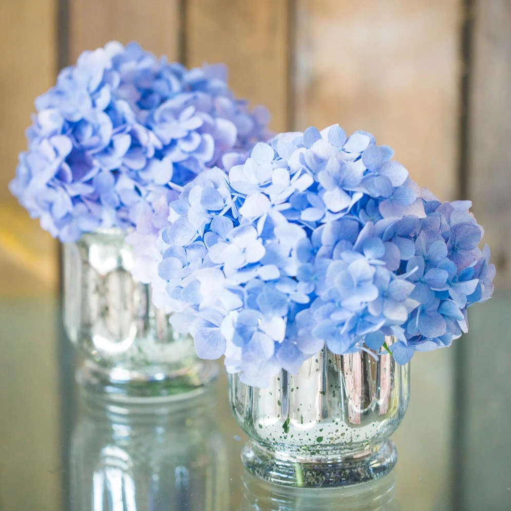 Richland Mercury Venus Jar Silver Set Of 12 3 Richland Mercury Venus Jar Silver Set Of 12 - Image 3