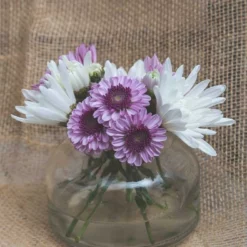 Richland Etta Vase Set Of 48 -US Gift Sales 2024 1968b 1 1