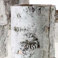 Whitewashed Birch Bark Vase 7x10 -US Gift Sales 2024 2014 02 17 8680 edited 1 B