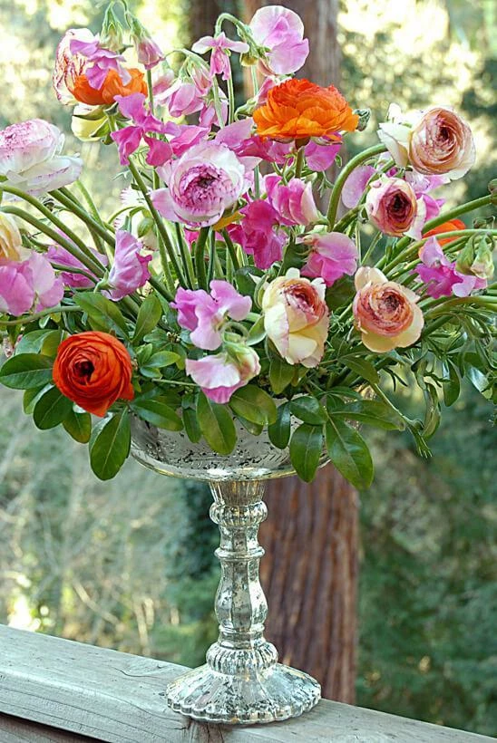 Desiray Glass Compote 9" X 8" Silver 2 Desiray Glass Compote 9" X 8" Silver - Image 2