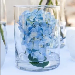 Eastland Wide Cylinder Vase 6" X 8" Set Of 2 5 Eastland Wide Cylinder Vase 6" X 8" Set Of 2 -US Gift Sales 2024 2555 13bf0ed6 fbb8 40d3 9602 8419501e5df9