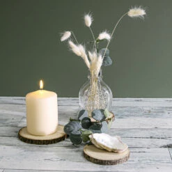 8 Basswood Branch Rounds 3.5in-5in Natural -US Gift Sales 2024 3921 7561 110c5d94 6089 4d2f 81c5 b3f2b2b0078d