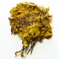 Preserved Oak Branches Golden Browntone -US Gift Sales 2024 40099901801 2391 2