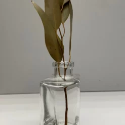 Clear Glass Matic 8.5 Ounce Bottles Set Of 12 7 Clear Glass Matic 8.5 Ounce Bottles Set Of 12 -US Gift Sales 2024 40099904156 02