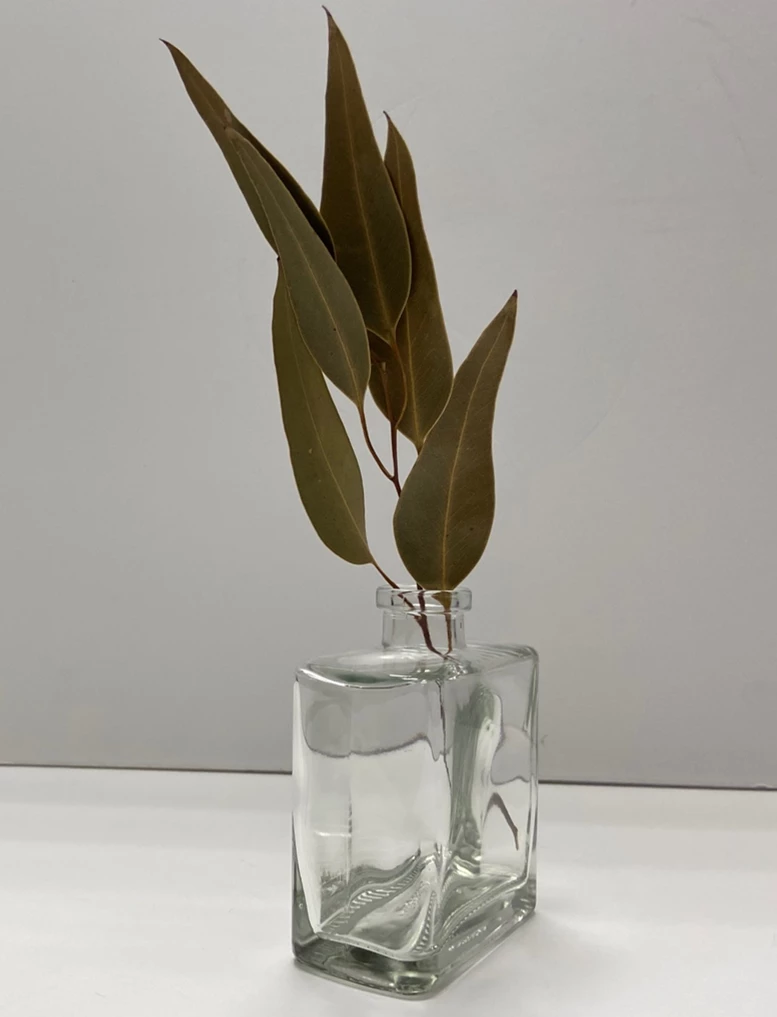 Clear Glass Matic 8.5 Ounce Bottles Set Of 12 3 Clear Glass Matic 8.5 Ounce Bottles Set Of 12 - Image 3