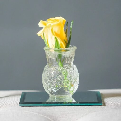 Eastland Square Mirror Coaster 5" Set Of 72 -US Gift Sales 2024 5insquare cce3bd73 e3d0 478a 9911 61173b873529