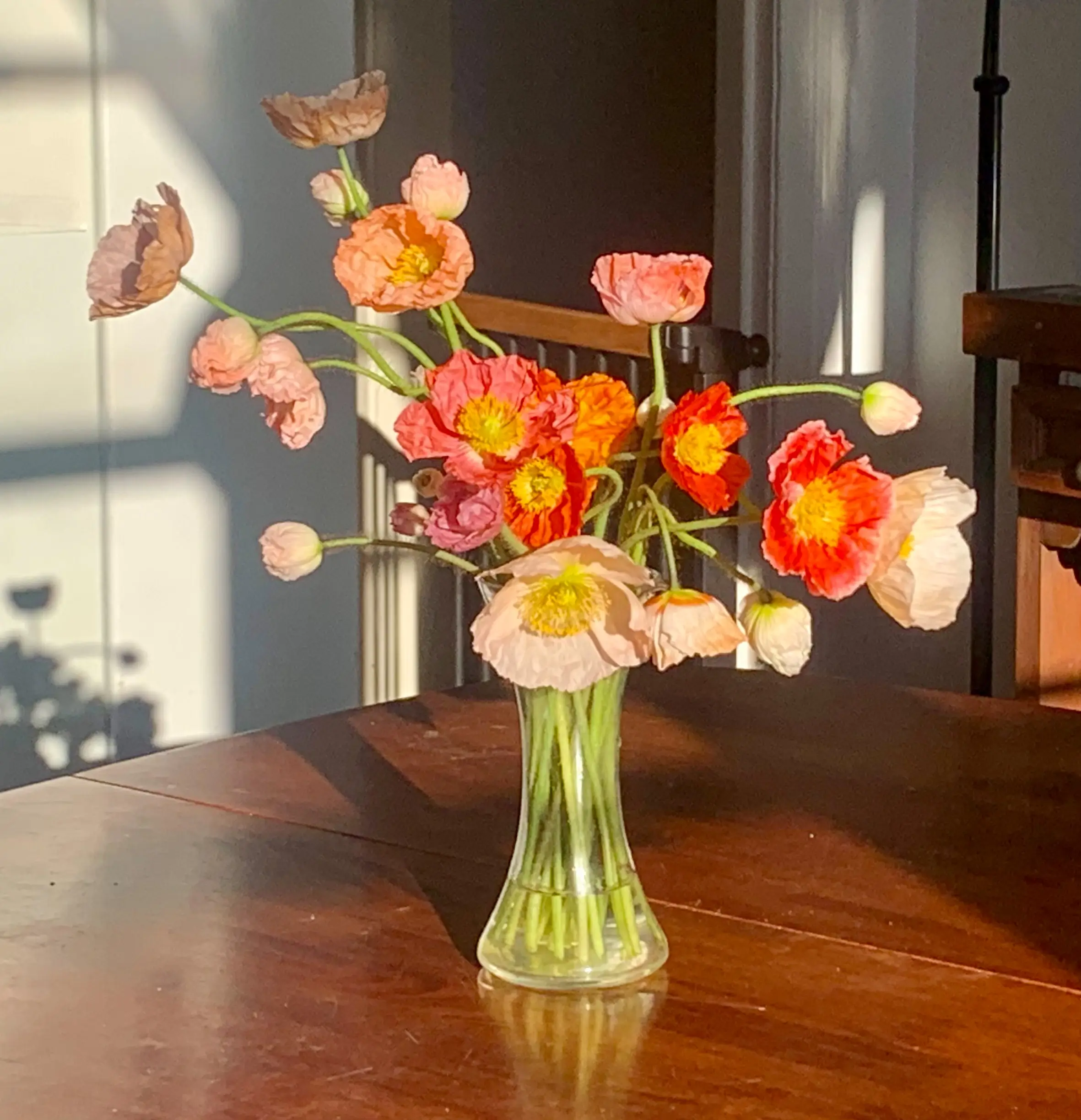 Front Page -US Gift Sales 2024 6480c4cadaf277a80ee6f388 poppies