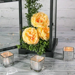 Richland Silver Mercury Square Votive Holder Set Of 12 6 Richland Silver Mercury Square Votive Holder Set Of 12 -US Gift Sales 2024 7af0dbf5 771e 45d9 b24b 4d4116286ac0