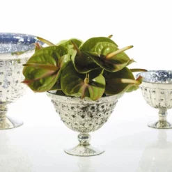 Baleri Glass Compote Bowl 8'' X 6'' -US Gift Sales 2024 84230605791c