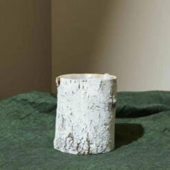 Whitewashed Birch Bark Vase 4.75x6 -US Gift Sales 2024 84230605914b
