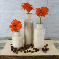 Richland Farmhouse White Ceramic Vase 5" Set Of 12 -US Gift Sales 2024 91127 91128 91129 6866 8d3b013d 0ae5 4bd6 aa79 7b1b37c36b8f