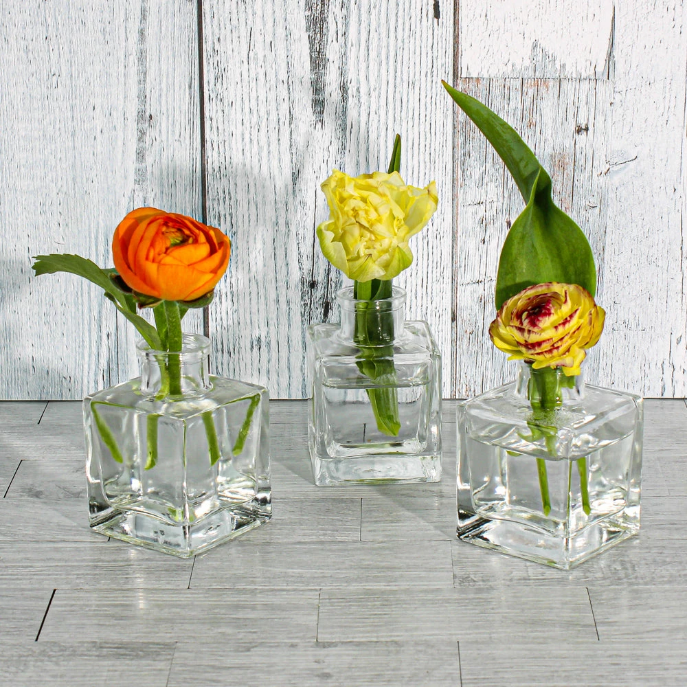 Richland Glass Bud Vase Clear Square Set Of 12 2 Richland Glass Bud Vase Clear Square Set Of 12 - Image 2