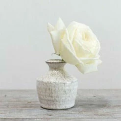 Richland Hari Budvase 3" X 3.5" Set Of 4 -US Gift Sales 2024 93960 00 3