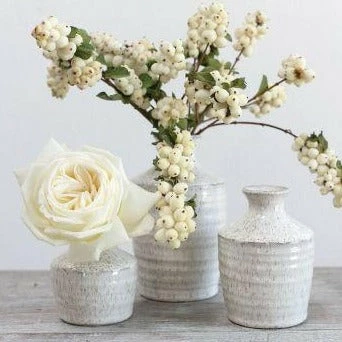 Richland Hari Budvase 3.25" X 4.5" Set Of 12 2 Richland Hari Budvase 3.25" X 4.5" Set Of 12 - Image 2