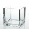 Richland Square Glass Cube Vase 6"