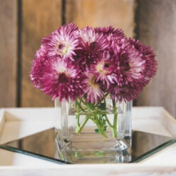 Richland Square Glass Cube Vase 5" Set Of 12 11 Richland Square Glass Cube Vase 5" Set Of 12 -US Gift Sales 2024 967a0145 1