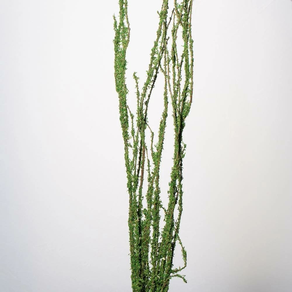 Moss Covered 48"-52" Coastal Range Natural Branches Bundle Of 3 1 Moss Covered 48"-52" Coastal Range Natural Branches Bundle Of 3