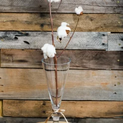 Richland Tula Trumpet Vase Set Of 12 -US Gift Sales 2024 967a0293 1