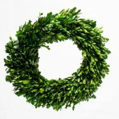 Richland Preserved Boxwood Wreath 17”