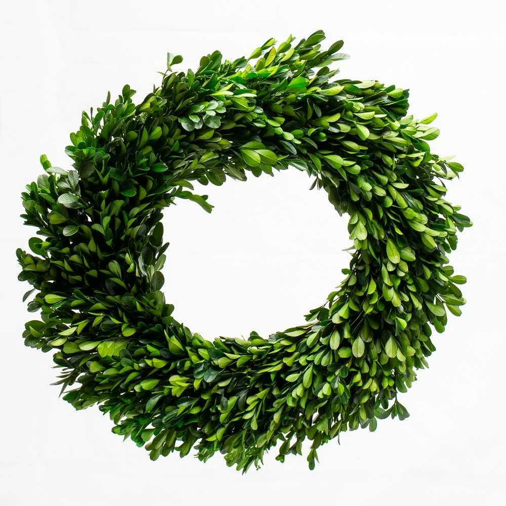 Richland Preserved Boxwood Wreath 17” Set Of 6 1 Richland Preserved Boxwood Wreath 17” Set Of 6