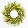 Richland Preserved Willow Wreath 14" Set Of 6