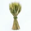 Richland Preserved Stand Up Wheat Bundle Set Of 16