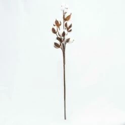 Richland Cotton Stalk 26" Set Of 24 5 Richland Cotton Stalk 26" Set Of 24 -US Gift Sales 2024 967a0384 edit 1