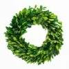 Richland Preserved Boxwood Wreath 8”