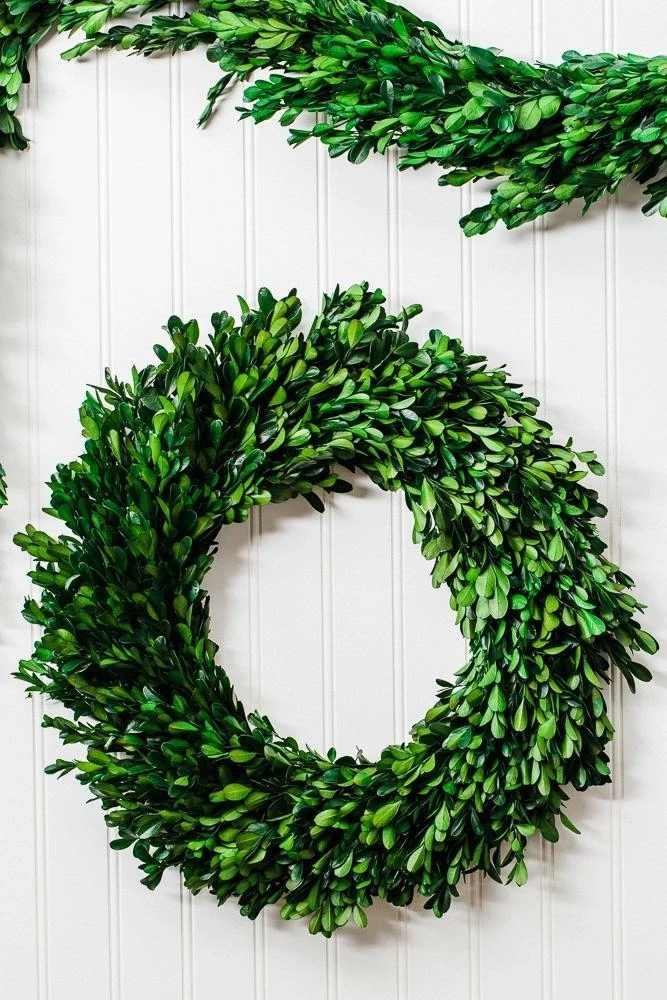 Richland Preserved Boxwood Wreath 17” Set Of 6 2 Richland Preserved Boxwood Wreath 17” Set Of 6 - Image 2