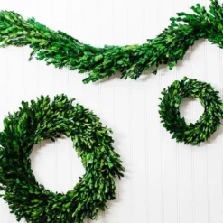 Richland Preserved Boxwood Wreath 8” Set Of 12 -US Gift Sales 2024 967a0411 2 1