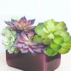 Richland Marlee Square Vase Mauve Set Of 6 -US Gift Sales 2024 967a0930 1