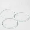 Richland Round Glass Pillar Plate 8" Set Of 16