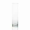 Eastland Tall Cylinder Vase 4"x15"