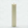 Richland Pillar Candle 2"x9" Light Ivory Set Of 20