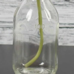 Richland Vintage Bottle Hanging Glass Vase Set Of 48 -US Gift Sales 2024 967a5670