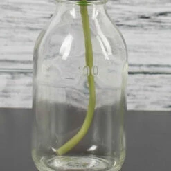 Richland Vintage Bottle Hanging Glass Vase Set Of 12 -US Gift Sales 2024 967a5670 1