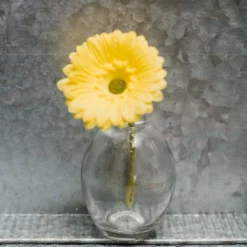 Richland Finney Bud Vase Set Of 12 -US Gift Sales 2024 967a6686 1