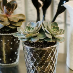 Richland Tipper Vase & Candle Holder Set Of 12 -US Gift Sales 2024 967a6703 1