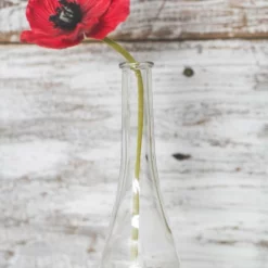 Richland Clear Round Teardrop Bud Vase 7" Set Of 12 6 Richland Clear Round Teardrop Bud Vase 7" Set Of 12 -US Gift Sales 2024 967a6984