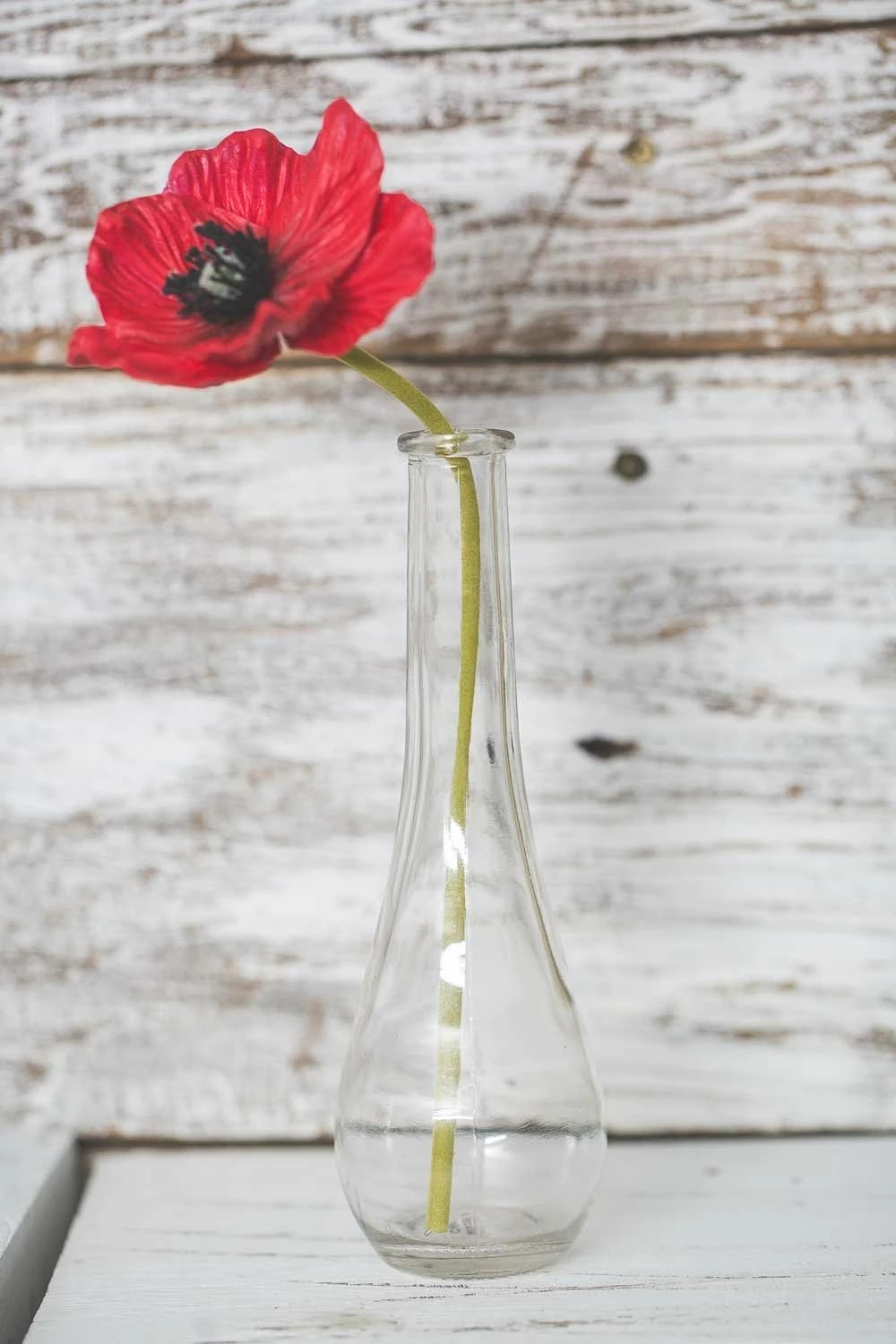 Richland Clear Round Teardrop Bud Vase 7" Set Of 12 3 Richland Clear Round Teardrop Bud Vase 7" Set Of 12 - Image 3