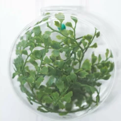 Richland Hollis Wall Vase Set Of 12 -US Gift Sales 2024 967a8706 1