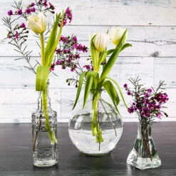 Richland Tempe Bud Vase Set Of 12 8 Richland Tempe Bud Vase Set Of 12 -US Gift Sales 2024 9781 9124 91073 5554 60698a12 e775 434e 96a8 e85db8596eeb