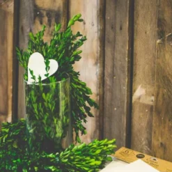 Richland Preserved Boxwood Garland 70" Set Of 4 -US Gift Sales 2024 BoxwoodGarlandinvase 673dab40 72ef 4f31 979b 1247378d407e