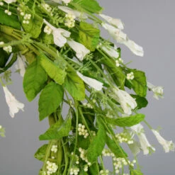 Richland Jasmine & Berries 24" Wreath -US Gift Sales 2024 FWJ509 WHGR 01 2125