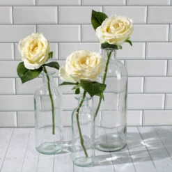 Richland Apothecary Glass Bottle 6" Set Of 12 -US Gift Sales 2024 IMG 2224 89d0e454 dd50 4995 b39a 306ac3e777d0